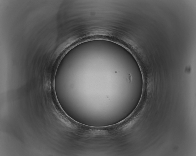 X0000089921113200707061013