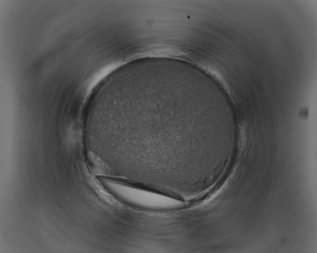 X0000089921114200707061013