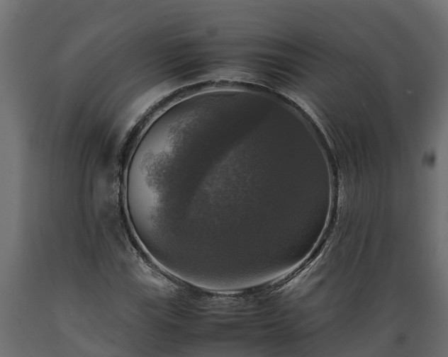 X0000089921115200707061013