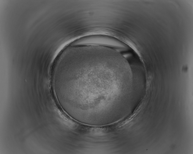 X0000089921116200707061013