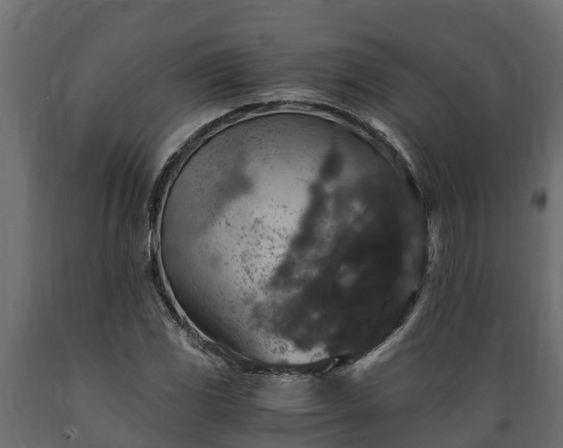 X0000089921117200707061013