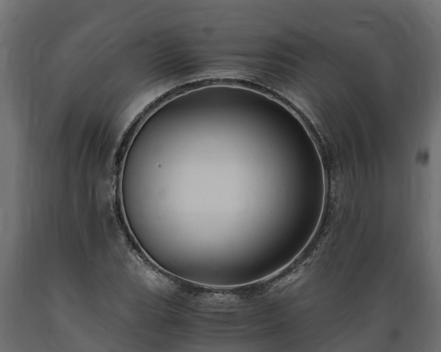 X0000089921119200707061013