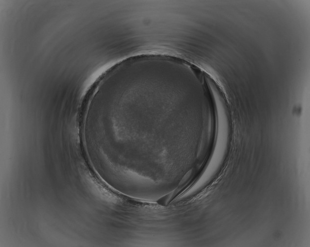 X0000089921120200707061013