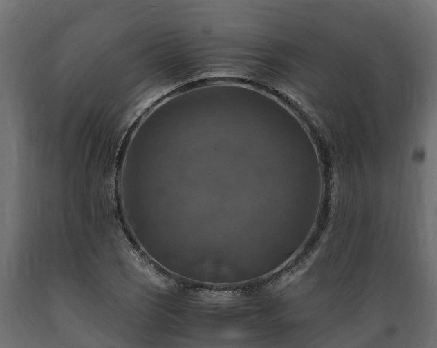 X0000089921121200707061013