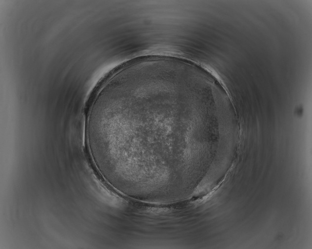 X0000089921123200707061013