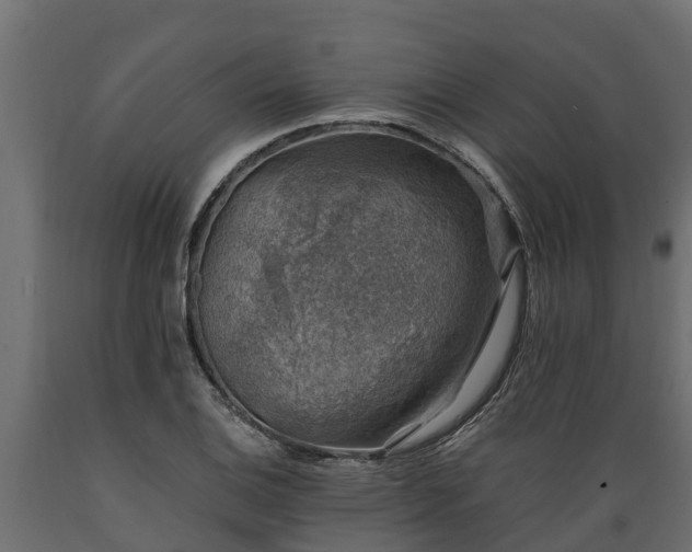 X0000089921124200707061013