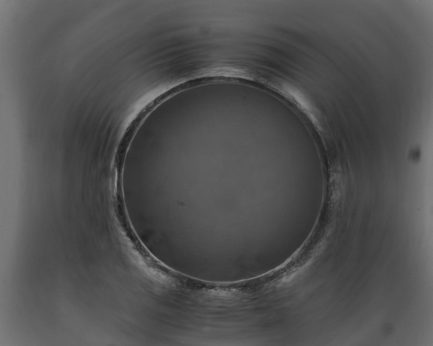 X0000089921125200707061014