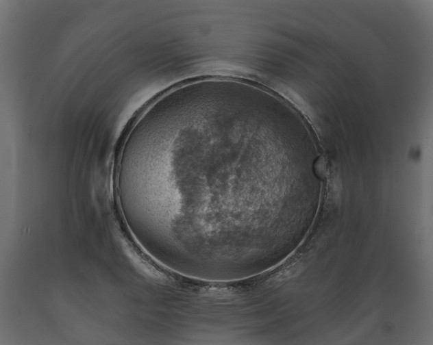 X0000089921128200707061014