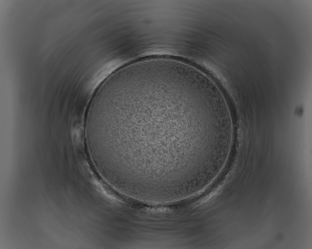 X0000089921129200707061014