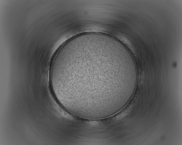X0000089921130200707061014