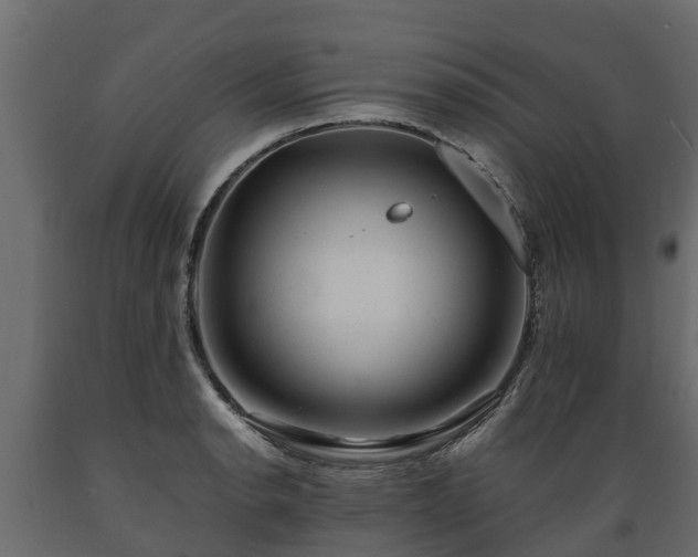 X0000089921134200707061014