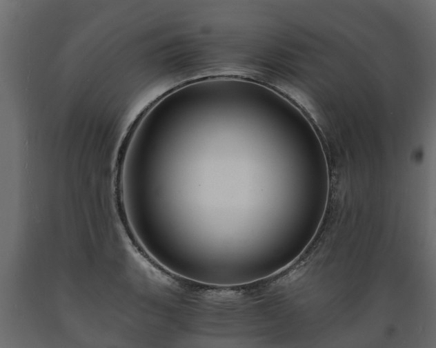 X0000089921135200707061014