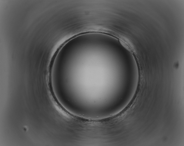 X0000089921136200707061014