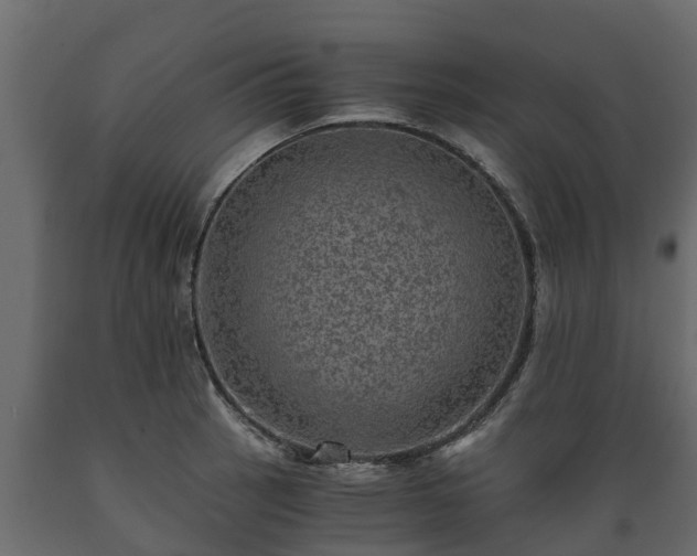 X0000089921137200707061014