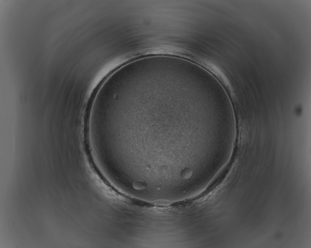 X0000089921138200707061014