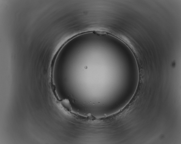 X0000089921140200707061014