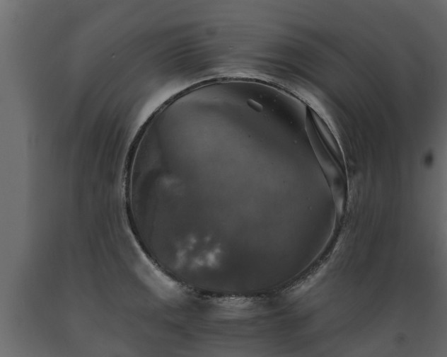 X0000089921141200707061014