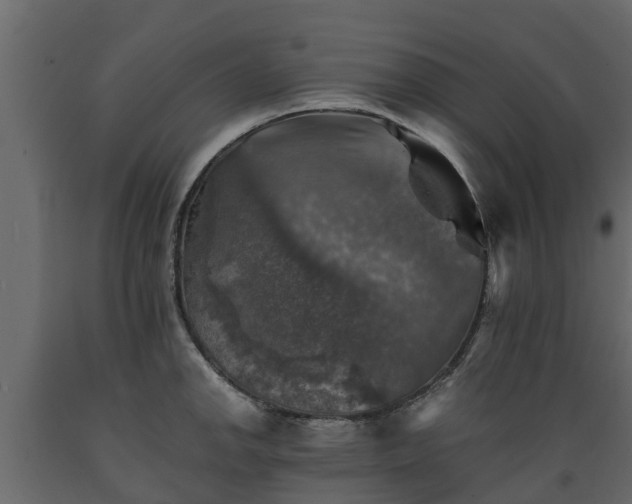 X0000089921142200707061014