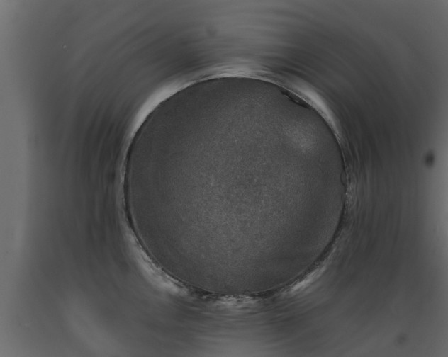 X0000089921146200707061014