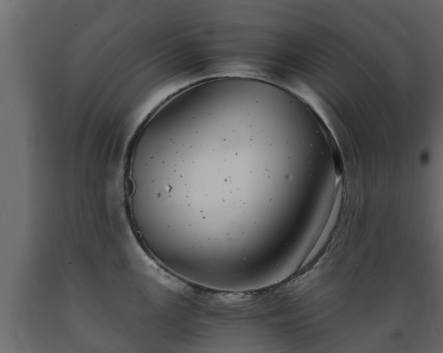 X0000089921147200707061014