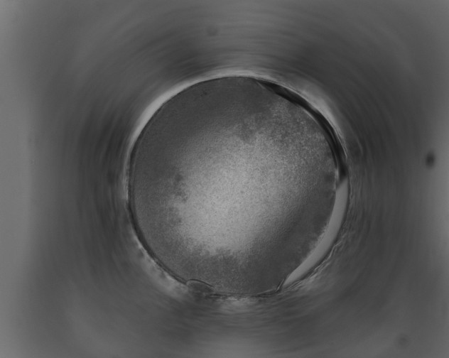 X0000089921148200707061014