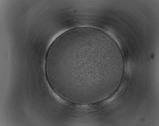 X0000089921149200707061014