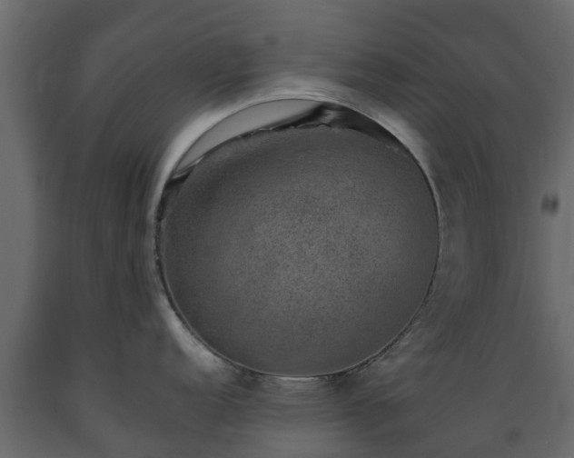 X0000089921152200707061014