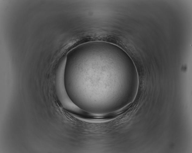X0000089921153200707061013