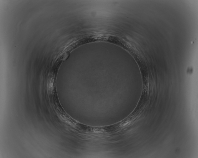 X0000089921154200707061013