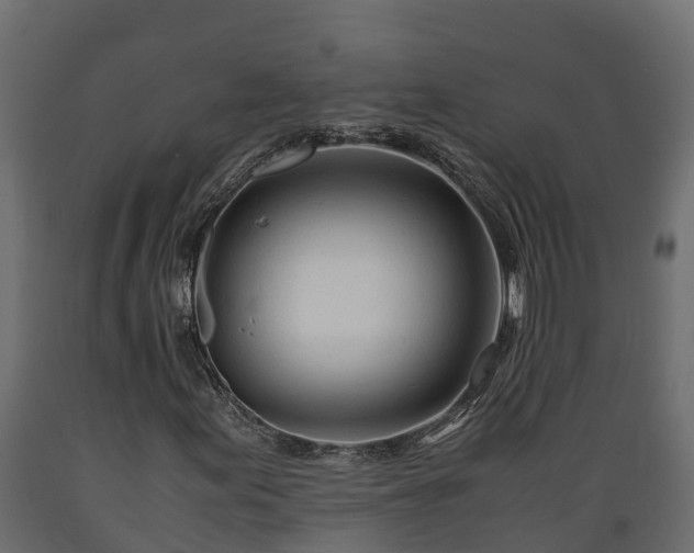 X0000089921155200707061013