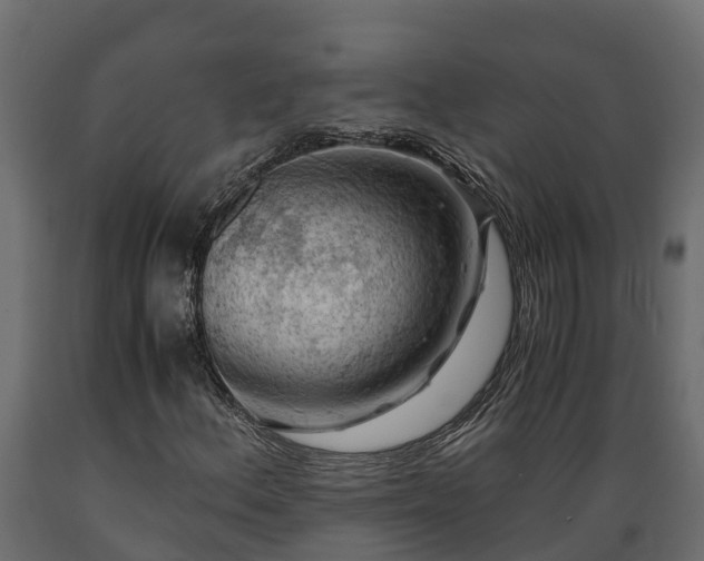 X0000089921156200707061013
