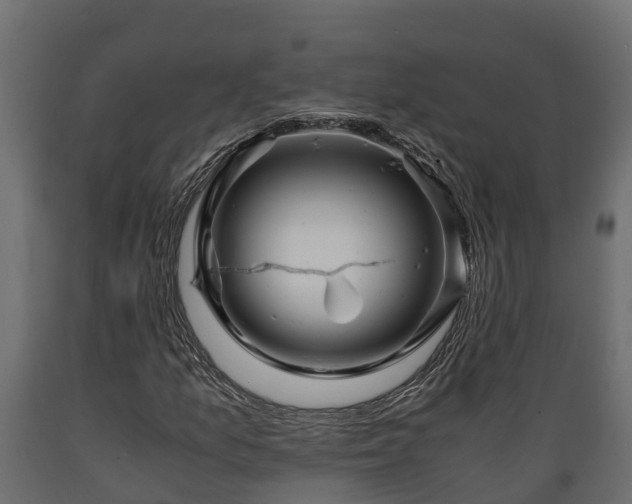 X0000089921157200707061013