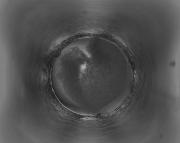 X0000089921158200707061013