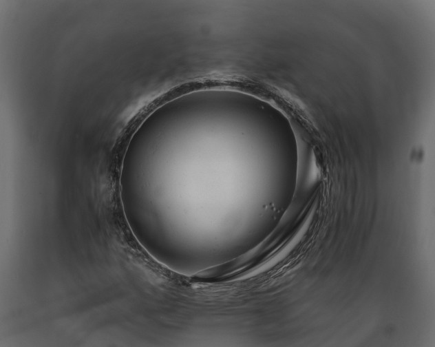 X0000089921160200707061013