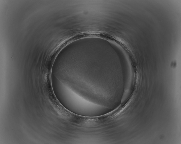 X0000089921161200707061013