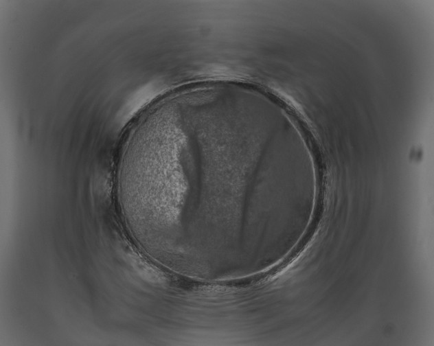 X0000089921163200707061013