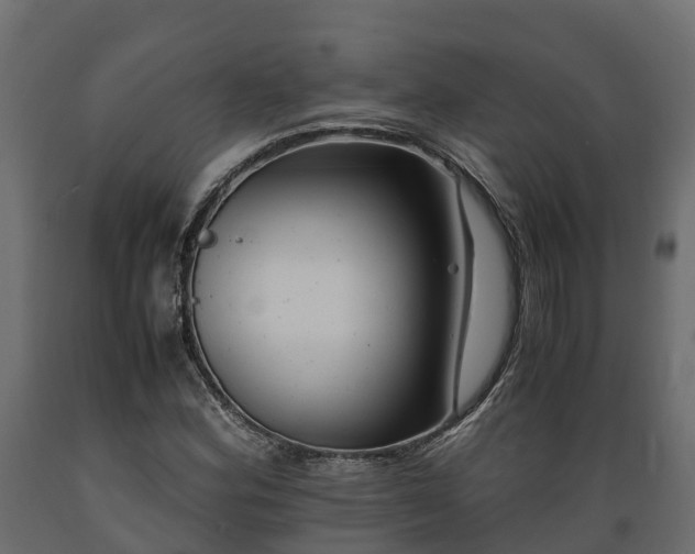 X0000089921164200707061013
