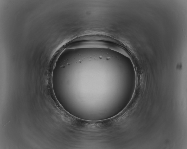 X0000089921165200707061013