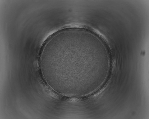X0000089921166200707061013