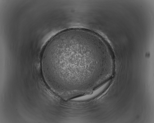 X0000089921167200707061013