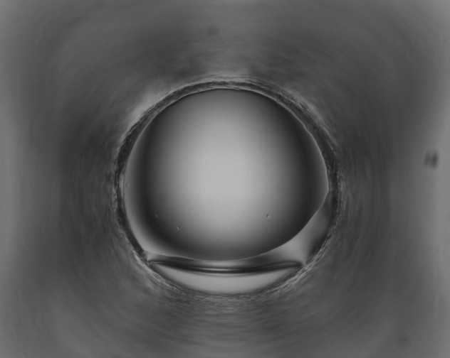 X0000089921168200707061013
