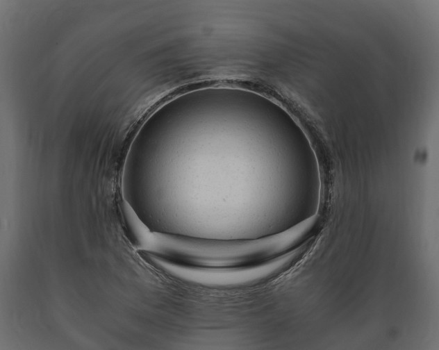 X0000089921169200707061013