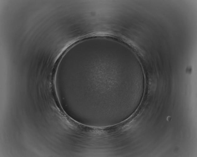 X0000089921170200707061013