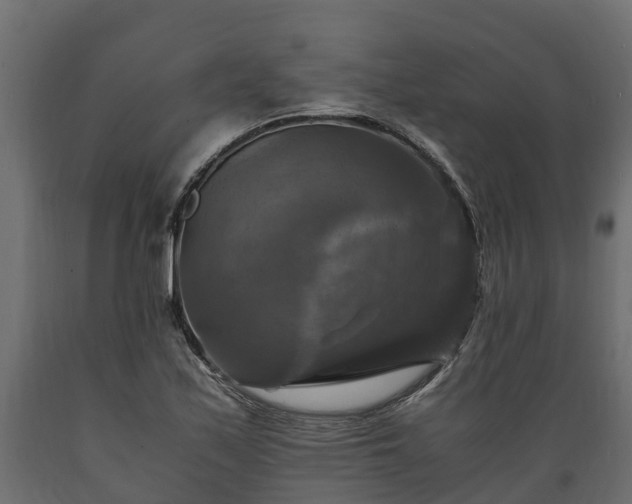 X0000089921171200707061013