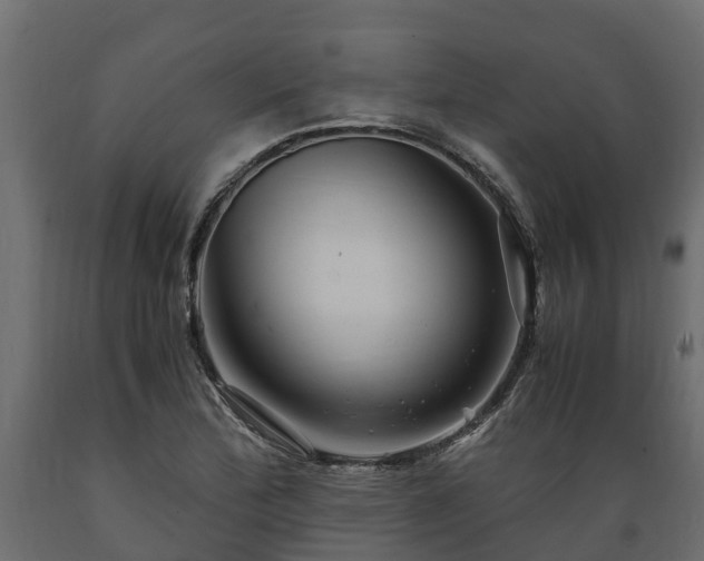 X0000089921172200707061013