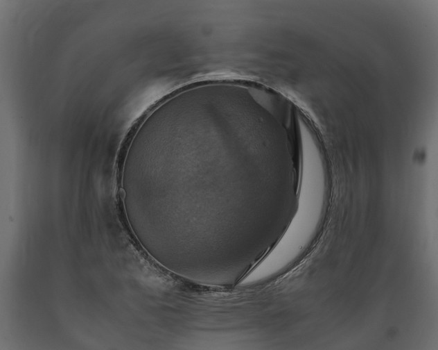 X0000089921173200707061013