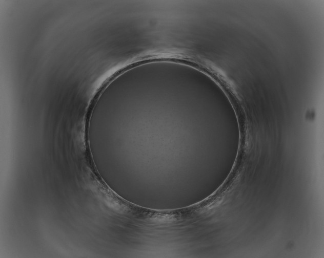 X0000089921174200707061013