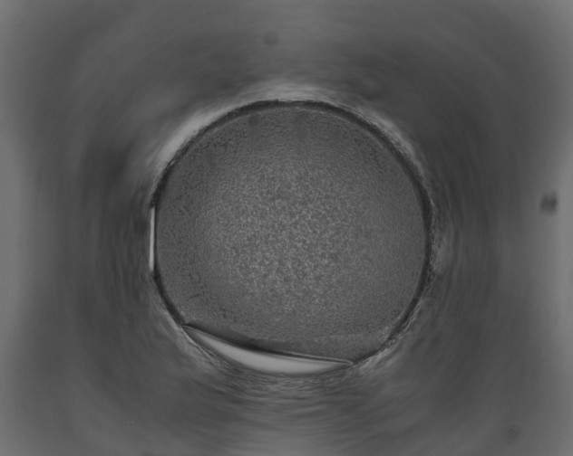X0000089921175200707061013
