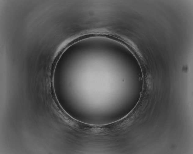X0000089921176200707061013