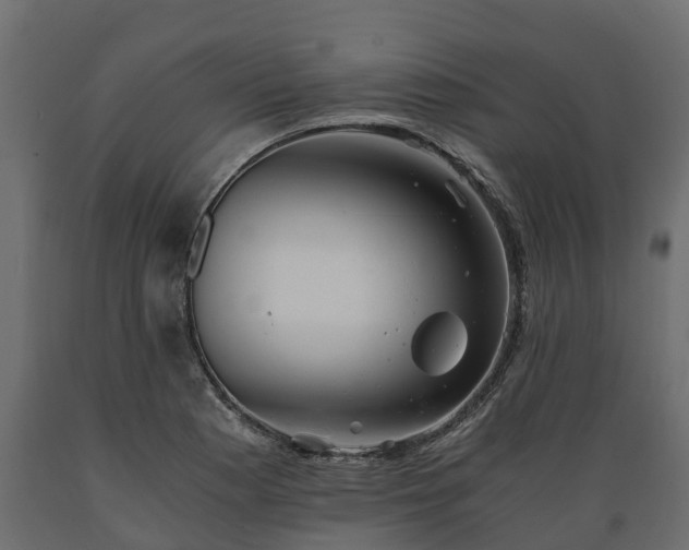X0000089921177200707061013